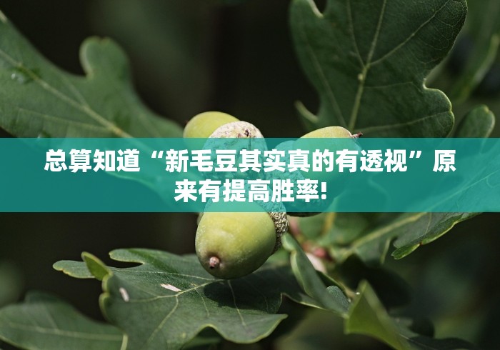 总算知道“新毛豆其实真的有透视”原来有提高胜率!