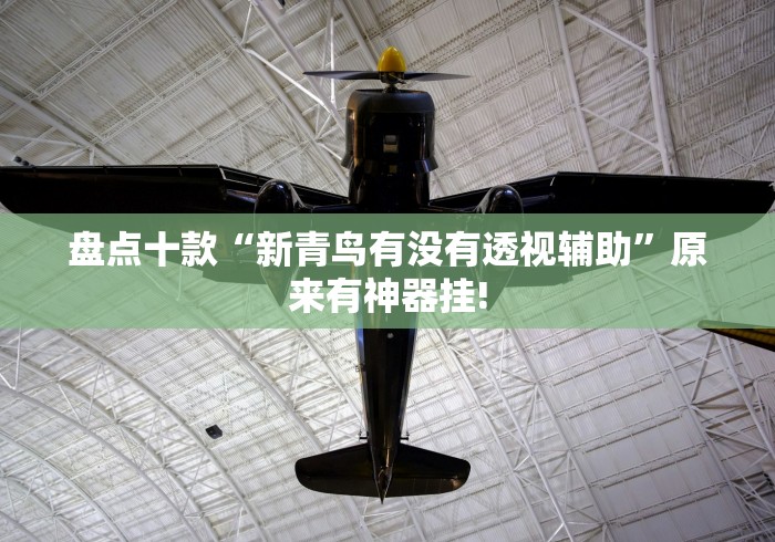 盘点十款“新青鸟有没有透视辅助”原来有神器挂! 盘点十款“新青鸟有没有透视辅助”原来有神器挂!