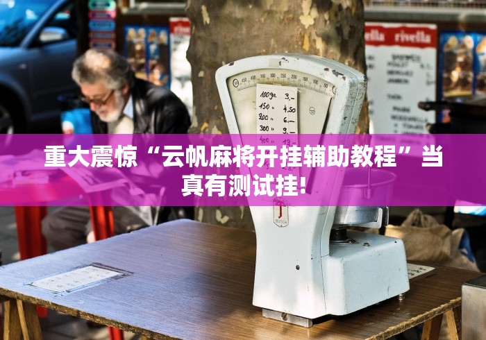 重大震惊“云帆麻将开挂辅助教程”当真有测试挂!