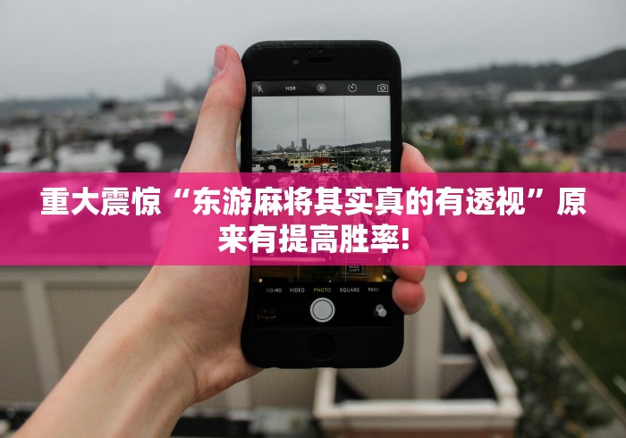 重大震惊“东游麻将其实真的有透视”原来有提高胜率! 重大震惊“东游麻将其实真的有透视”原来有提高胜率!