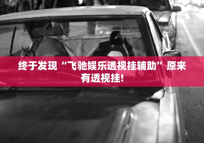 终于发现“飞驰娱乐透视挂辅助”原来有透视挂!