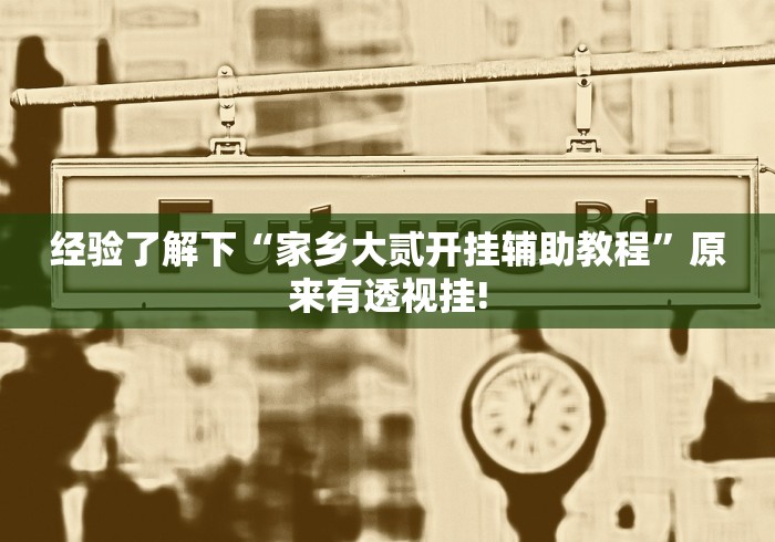 经验了解下“家乡大贰开挂辅助教程”原来有透视挂!