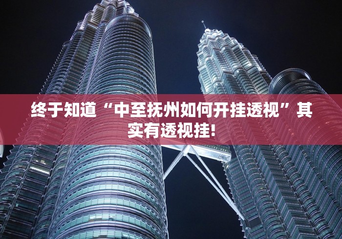 终于知道“中至抚州如何开挂透视”其实有透视挂!