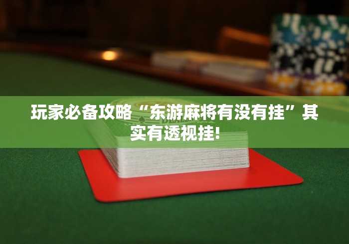 玩家必备攻略“东游麻将有没有挂”其实有透视挂!