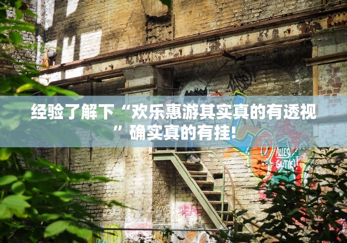 经验了解下“欢乐惠游其实真的有透视”确实真的有挂!