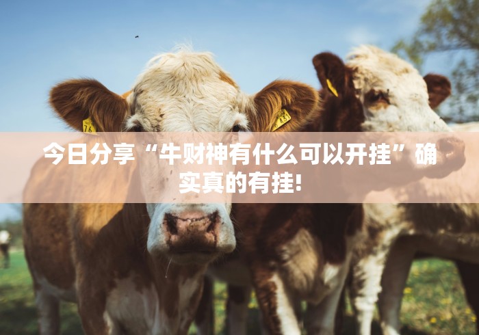 今日分享“牛财神有什么可以开挂”确实真的有挂!