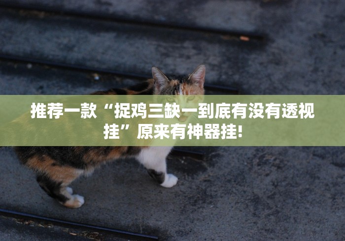 推荐一款“捉鸡三缺一到底有没有透视挂”原来有神器挂! 推荐一款“捉鸡三缺一到底有没有透视挂”原来有神器挂!