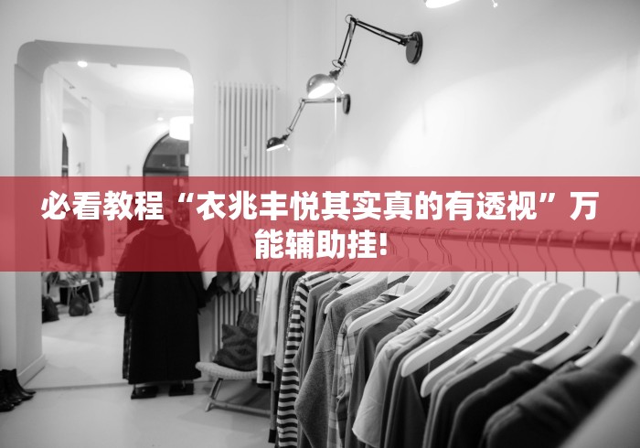 必看教程“衣兆丰悦其实真的有透视”万能辅助挂!