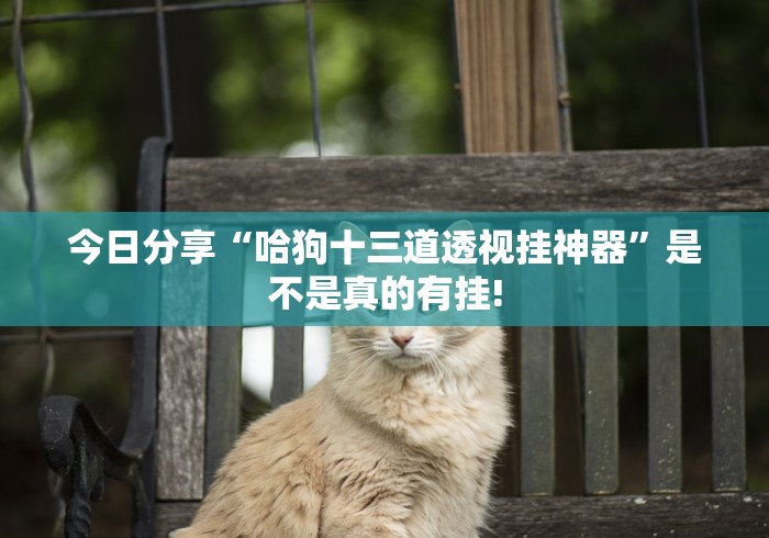今日分享“哈狗十三道透视挂神器”是不是真的有挂! 今日分享“哈狗十三道透视挂神器”是不是真的有挂!
