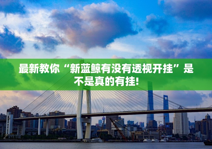 最新教你“新蓝鲸有没有透视开挂”是不是真的有挂!