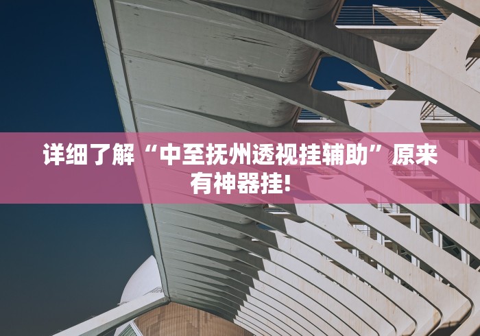 详细了解“中至抚州透视挂辅助”原来有神器挂!