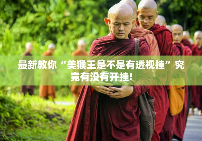 最新教你“美猴王是不是有透视挂”究竟有没有开挂! 最新教你“美猴王是不是有透视挂”究竟有没有开挂!