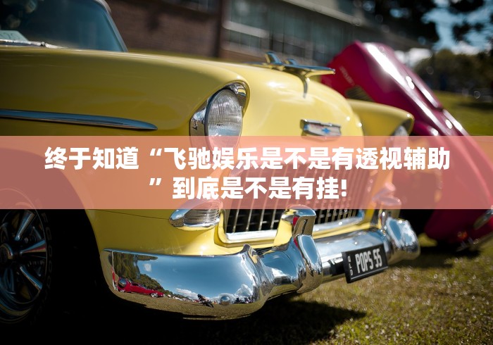 终于知道“飞驰娱乐是不是有透视辅助”到底是不是有挂!
