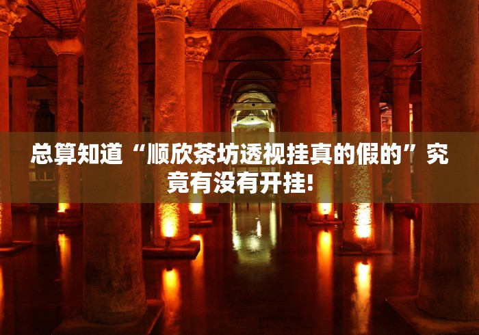 总算知道“顺欣茶坊透视挂真的假的”究竟有没有开挂!