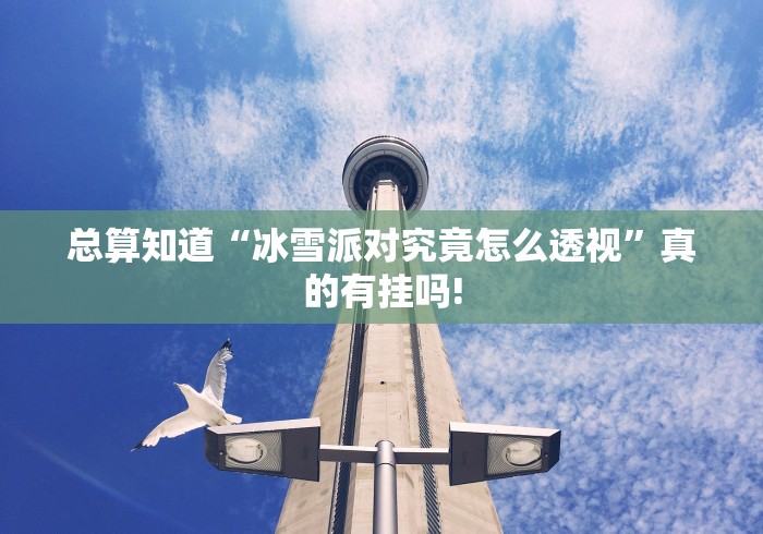 总算知道“冰雪派对究竟怎么透视”真的有挂吗!