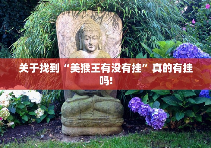 关于找到“美猴王有没有挂”真的有挂吗!