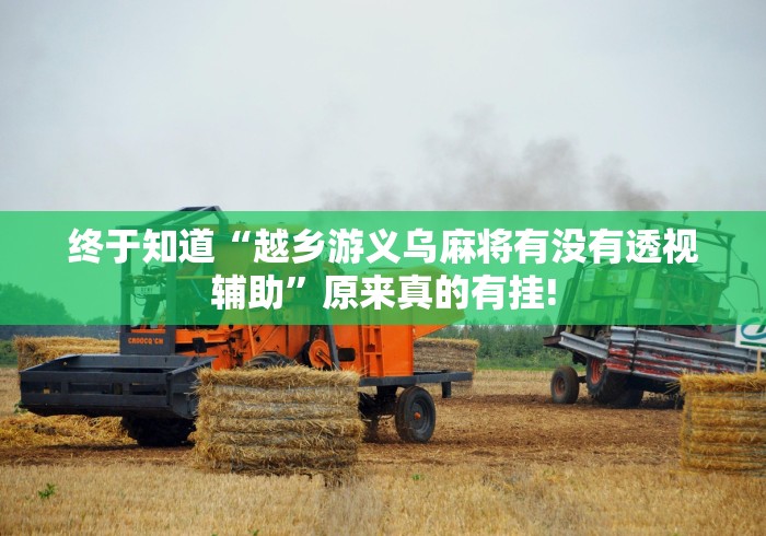 终于知道“越乡游义乌麻将有没有透视辅助”原来真的有挂!