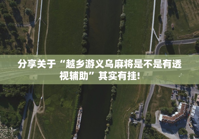 分享关于“越乡游义乌麻将是不是有透视辅助”其实有挂!