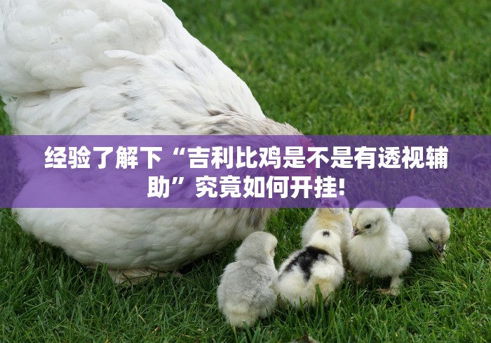 经验了解下“吉利比鸡是不是有透视辅助”究竟如何开挂!