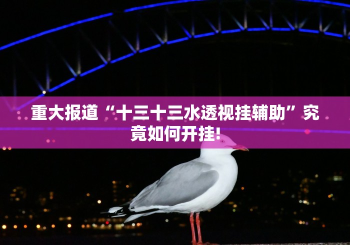 重大报道“十三十三水透视挂辅助”究竟如何开挂!