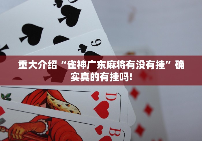 重大介绍“雀神广东麻将有没有挂”确实真的有挂吗!