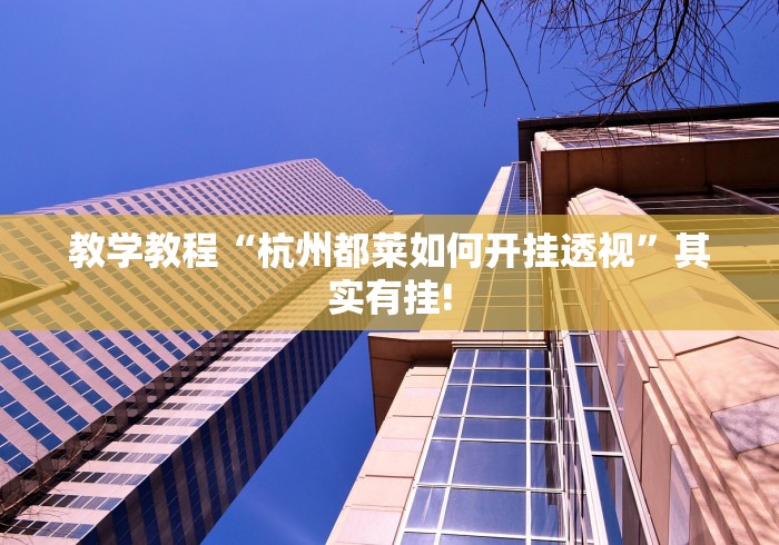 教学教程“杭州都莱如何开挂透视”其实有挂!