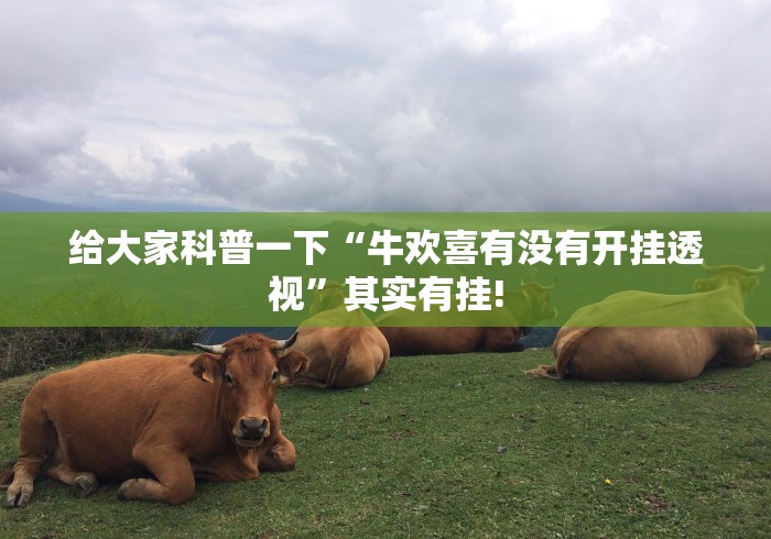 给大家科普一下“牛欢喜有没有开挂透视”其实有挂! 给大家科普一下“牛欢喜有没有开挂透视”其实有挂!