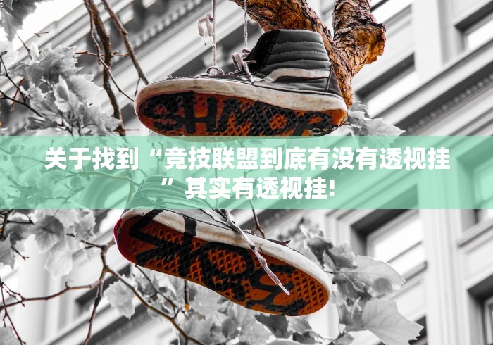 关于找到“竞技联盟到底有没有透视挂”其实有透视挂!