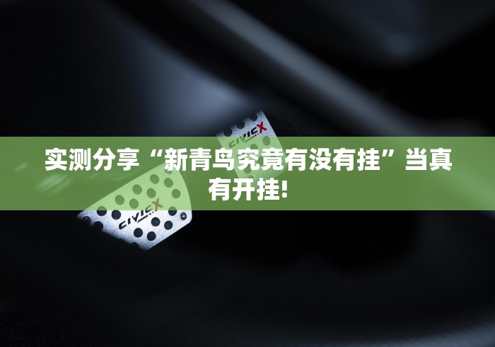实测分享“新青鸟究竟有没有挂”当真有开挂! 实测分享“新青鸟究竟有没有挂”当真有开挂!