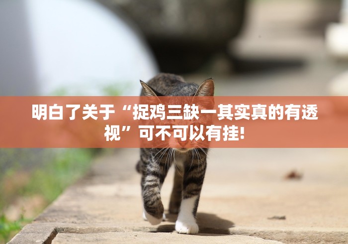 明白了关于“捉鸡三缺一其实真的有透视”可不可以有挂!