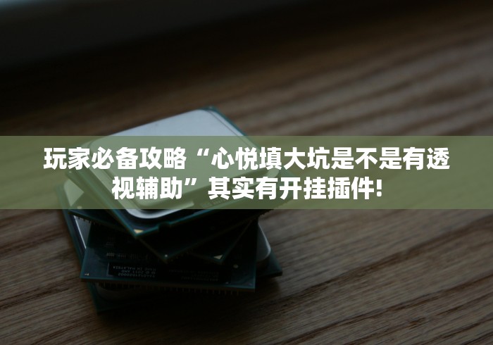 玩家必备攻略“心悦填大坑是不是有透视辅助”其实有开挂插件!