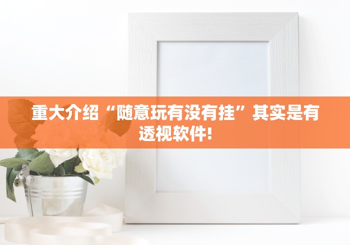 重大介绍“随意玩有没有挂”其实是有透视软件!