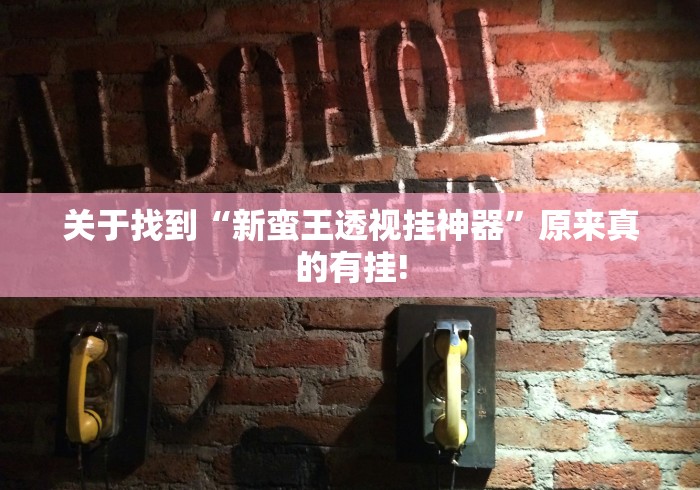 关于找到“新蛮王透视挂神器”原来真的有挂!