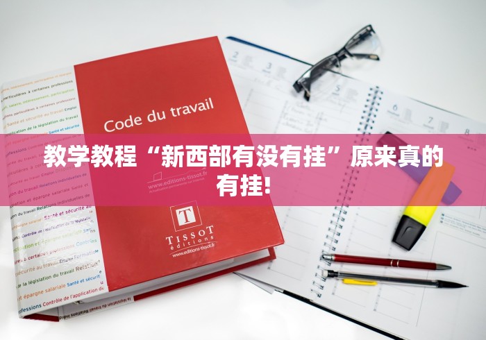 教学教程“新西部有没有挂”原来真的有挂!