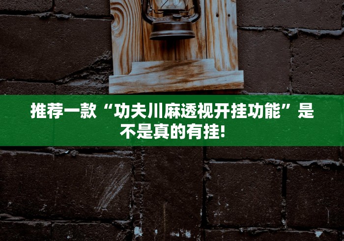 推荐一款“功夫川麻透视开挂功能”是不是真的有挂! 推荐一款“功夫川麻透视开挂功能”是不是真的有挂!