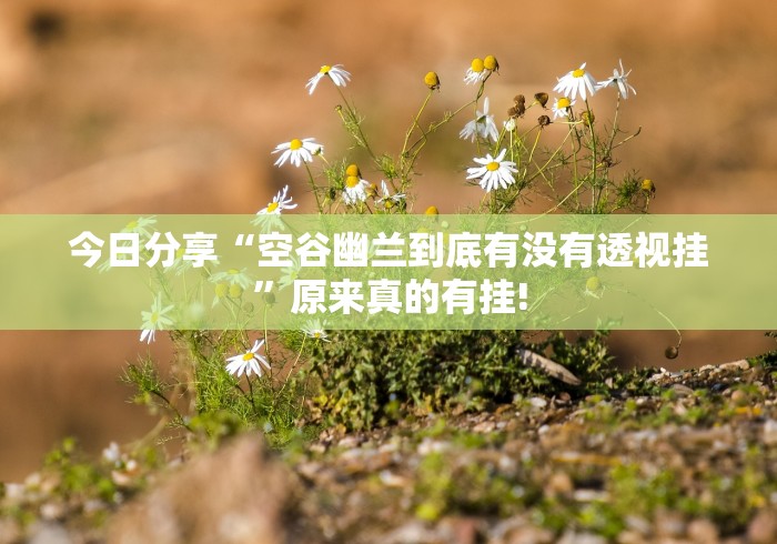 今日分享“空谷幽兰到底有没有透视挂”原来真的有挂!