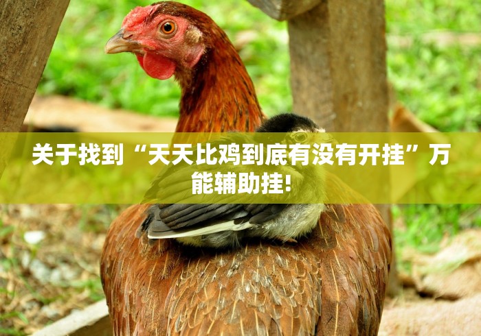 关于找到“天天比鸡到底有没有开挂”万能辅助挂!