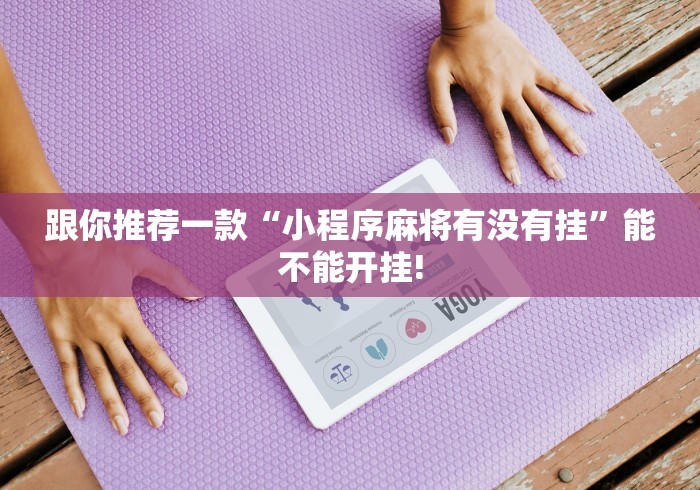 跟你推荐一款“小程序麻将有没有挂”能不能开挂! 跟你推荐一款“小程序麻将有没有挂”能不能开挂!