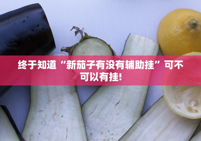 终于知道“新茄子有没有辅助挂”可不可以有挂!