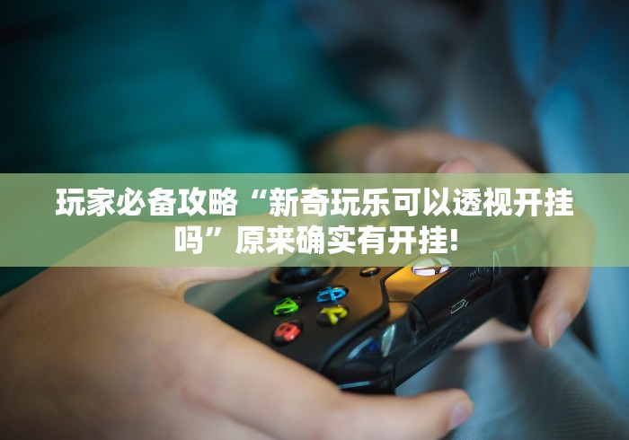 玩家必备攻略“新奇玩乐可以透视开挂吗”原来确实有开挂!