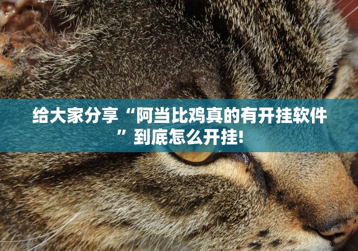 给大家分享“阿当比鸡真的有开挂软件”到底怎么开挂!